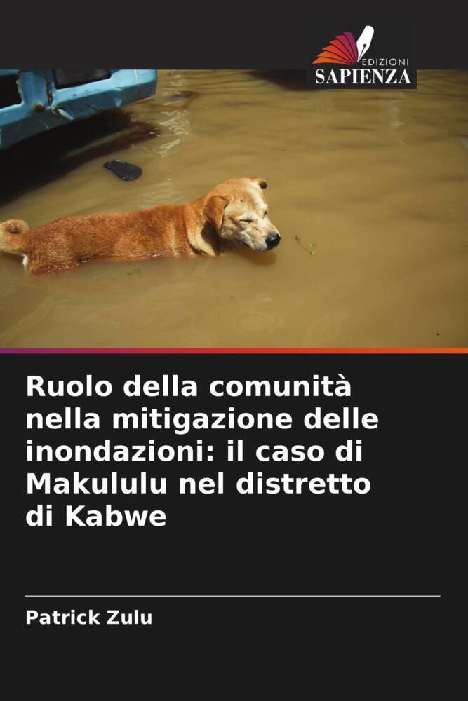 Ruolo della comunità nella mitigazione delle inondazioni: il caso di Makululu nel distretto di Kabwe