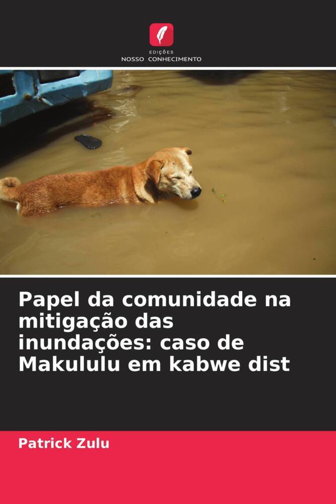 Papel da comunidade na mitigação das inundações: caso de Makululu em kabwe dist