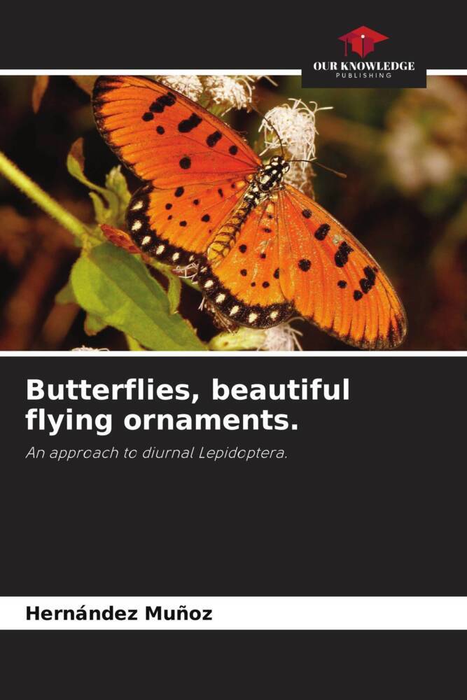 Butterflies, beautiful flying ornaments.