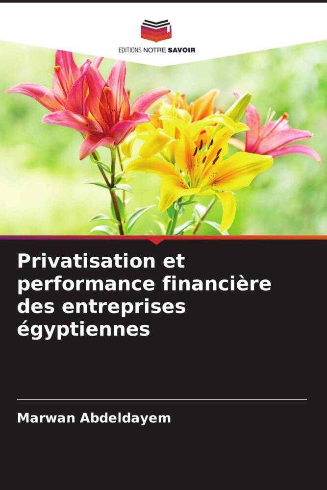 Privatisation et performance financière des entreprises égyptiennes