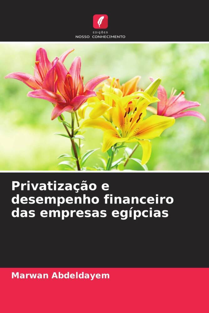 Privatização e desempenho financeiro das empresas egípcias