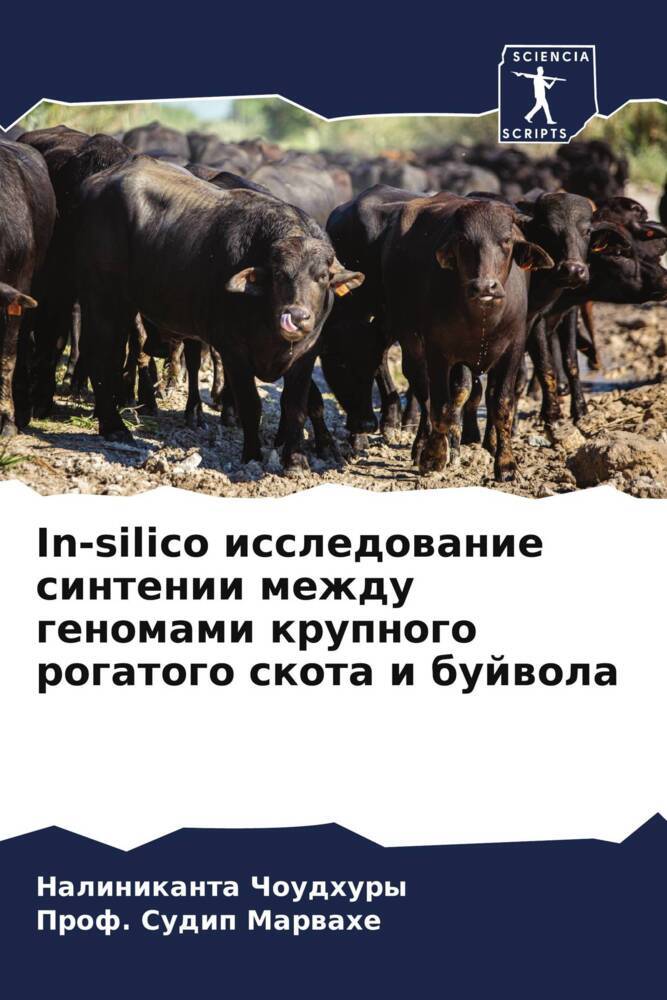 In-silico issledowanie sintenii mezhdu genomami krupnogo rogatogo skota i bujwola