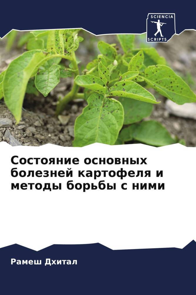 Sostoqnie osnownyh boleznej kartofelq i metody bor'by s nimi