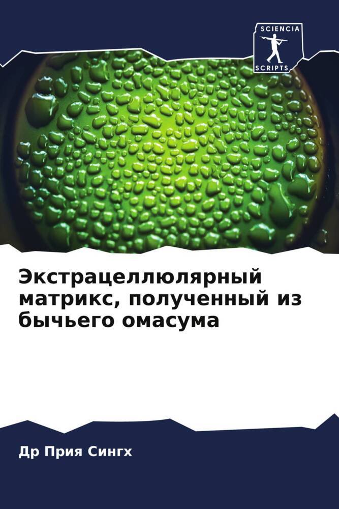 Jextracellülqrnyj matrix, poluchennyj iz bych'ego omasuma