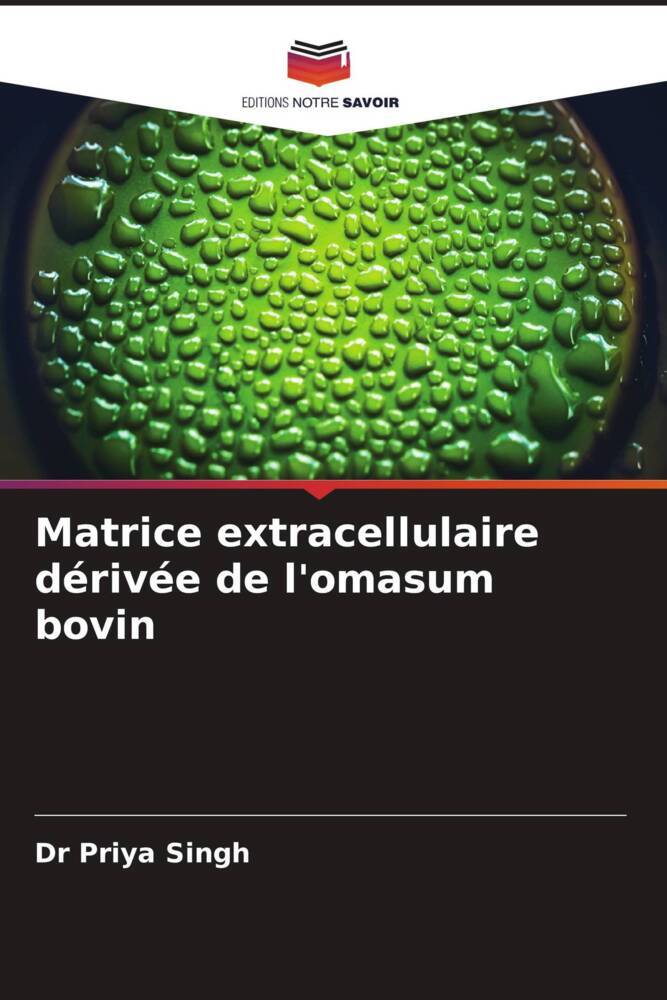 Matrice extracellulaire dérivée de l'omasum bovin