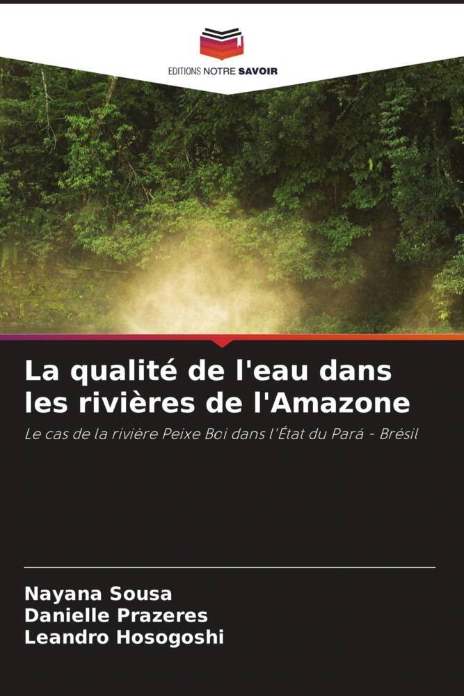 La qualité de l'eau dans les rivières de l'Amazone