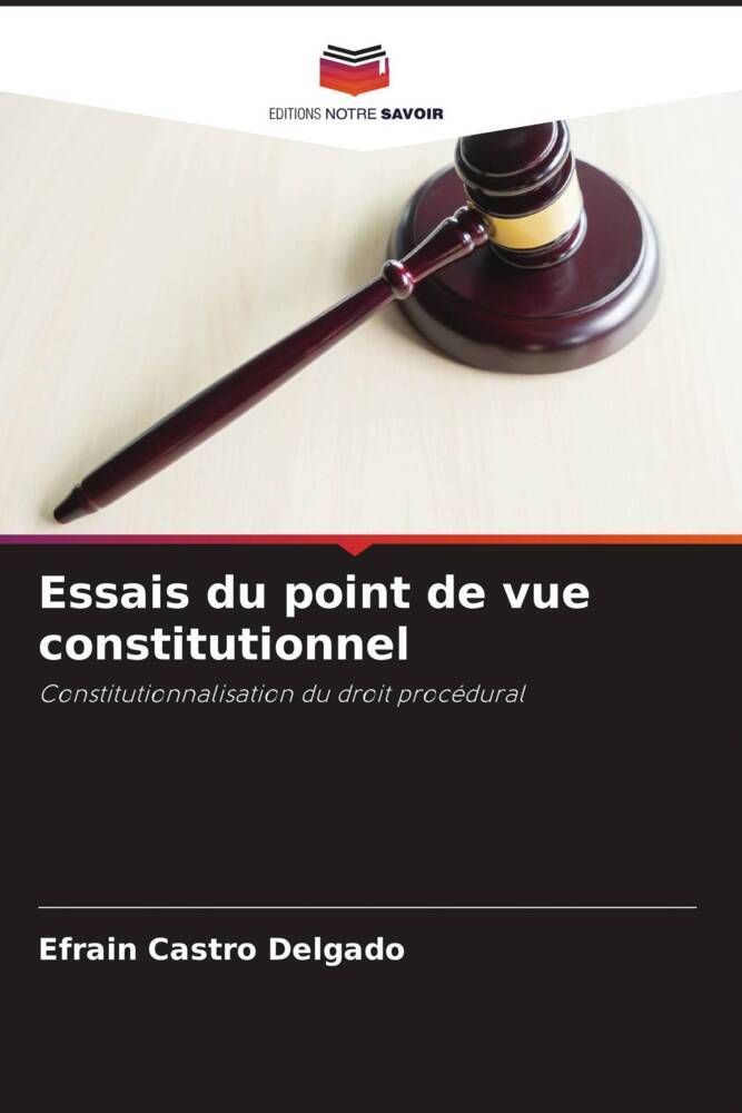 Essais du point de vue constitutionnel