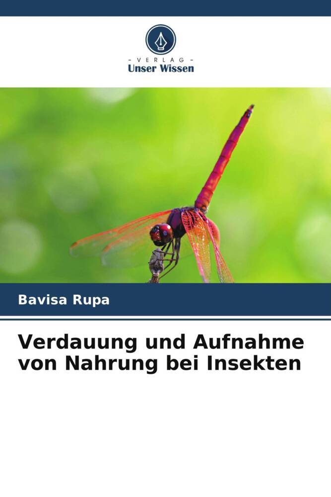 Verdauung und Aufnahme von Nahrung bei Insekten