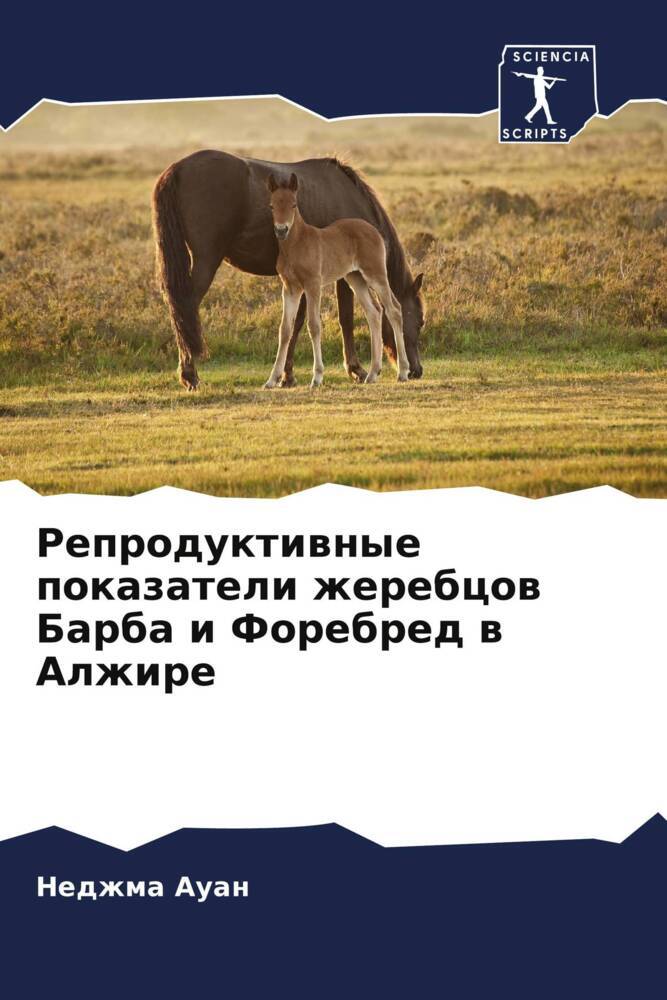 Reproduktiwnye pokazateli zherebcow Barba i Forebred w Alzhire