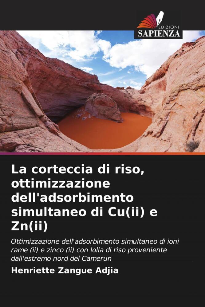 La corteccia di riso, ottimizzazione dell'adsorbimento simultaneo di Cu(ii) e Zn(ii)