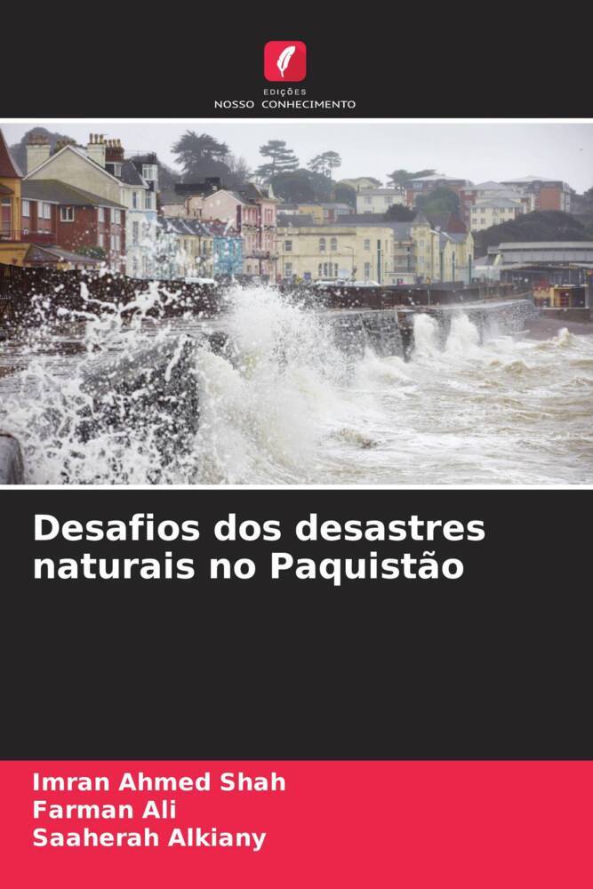 Desafios dos desastres naturais no Paquistão
