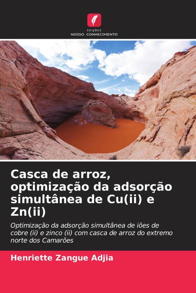Casca de arroz, optimização da adsorção simultânea de Cu(ii) e Zn(ii)