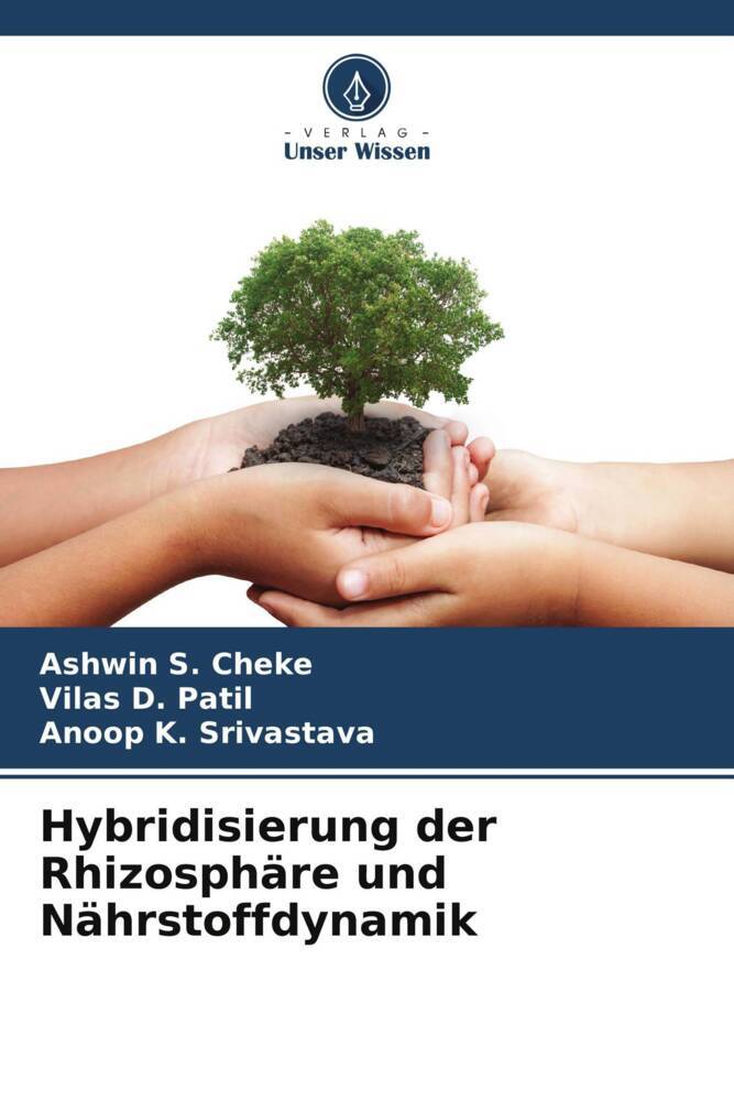 Hybridisierung der Rhizosphäre und Nährstoffdynamik