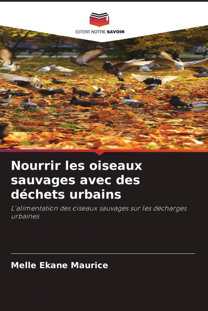 Nourrir les oiseaux sauvages avec des déchets urbains