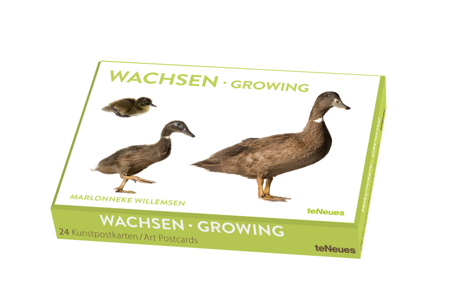 Wachsen, Kunstkartenbox