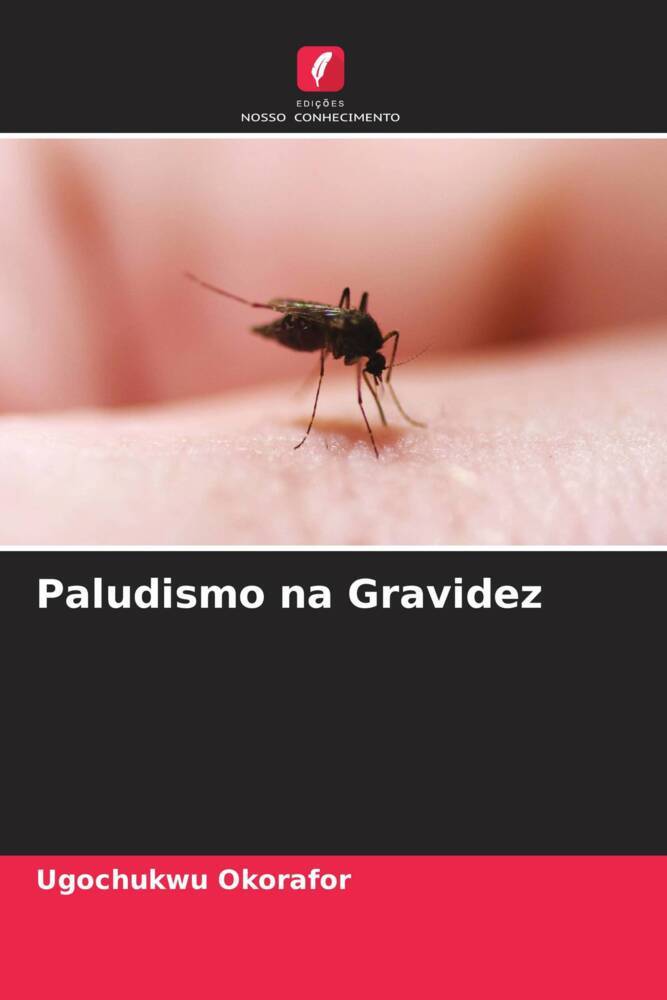 Paludismo na Gravidez