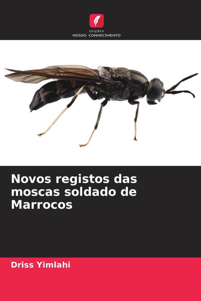 Novos registos das moscas soldado de Marrocos