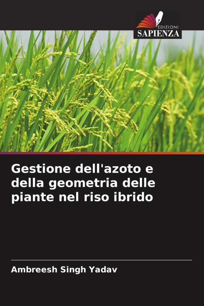 Gestione dell'azoto e della geometria delle piante nel riso ibrido