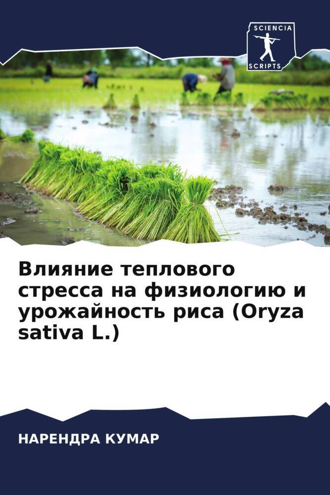 Vliqnie teplowogo stressa na fiziologiü i urozhajnost' risa (Oryza sativa L.)