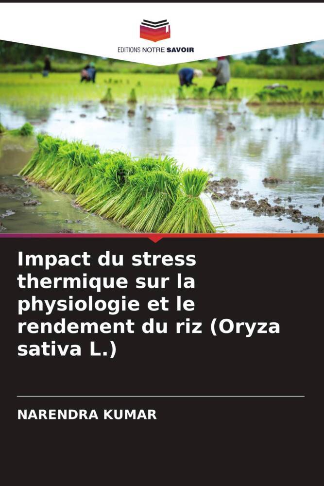 Impact du stress thermique sur la physiologie et le rendement du riz (Oryza sativa L.)