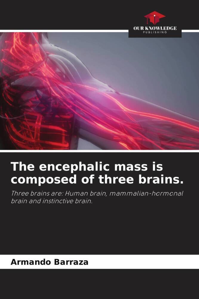 The encephalic mass is composed of three brains.