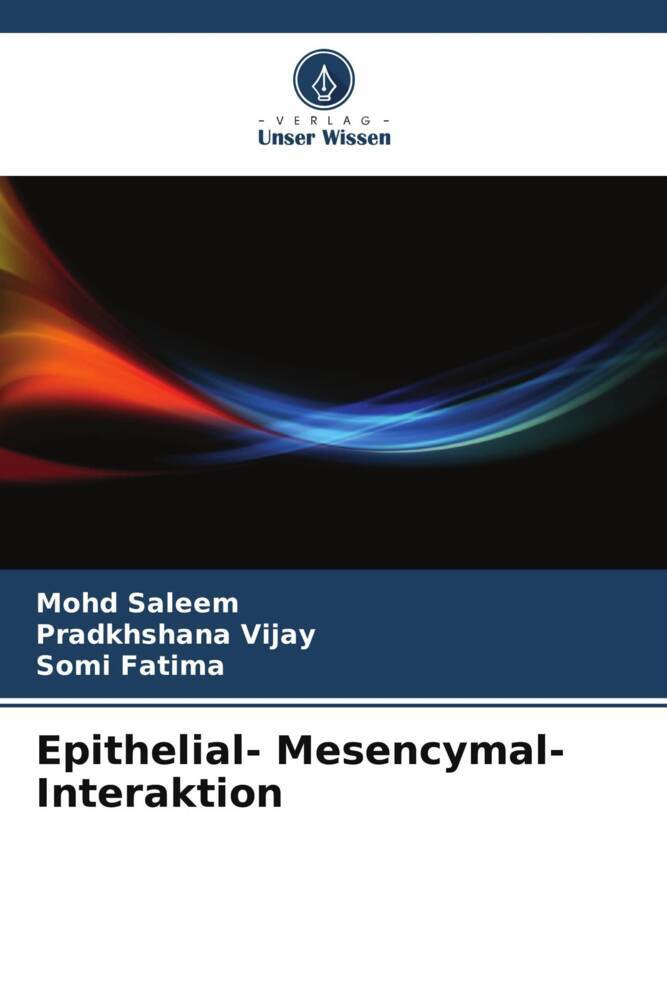Epithelial- Mesencymal- Interaktion