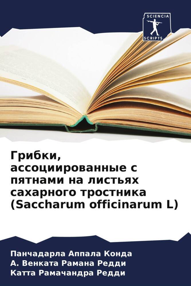 Gribki, associirowannye s pqtnami na list'qh saharnogo trostnika (Saccharum officinarum L)