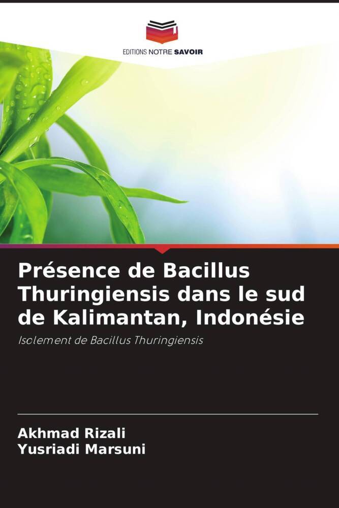 Présence de Bacillus Thuringiensis dans le sud de Kalimantan, Indonésie