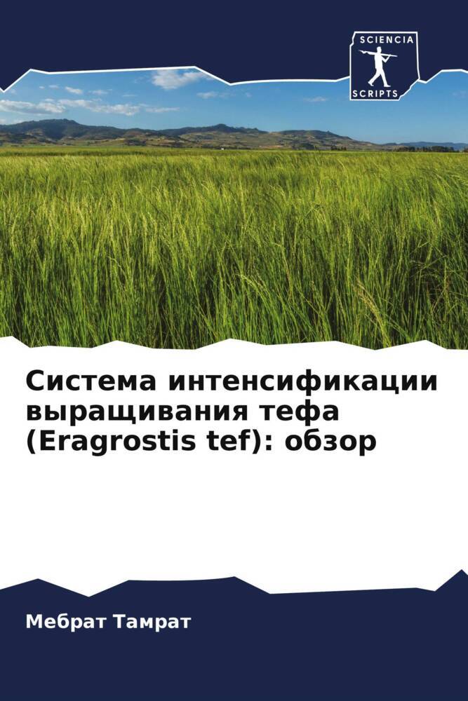 Sistema intensifikacii wyraschiwaniq tefa (Eragrostis tef): obzor