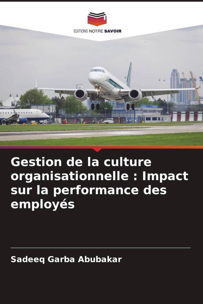 Gestion de la culture organisationnelle : Impact sur la performance des employés