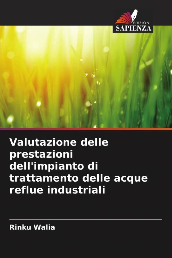 Valutazione delle prestazioni dell'impianto di trattamento delle acque reflue industriali
