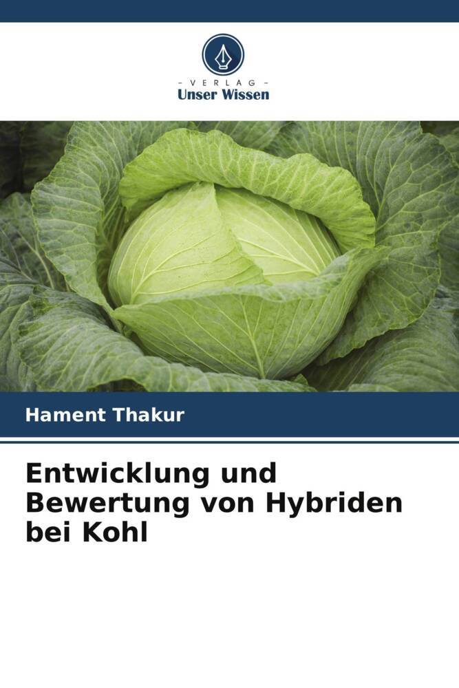 Entwicklung und Bewertung von Hybriden bei Kohl