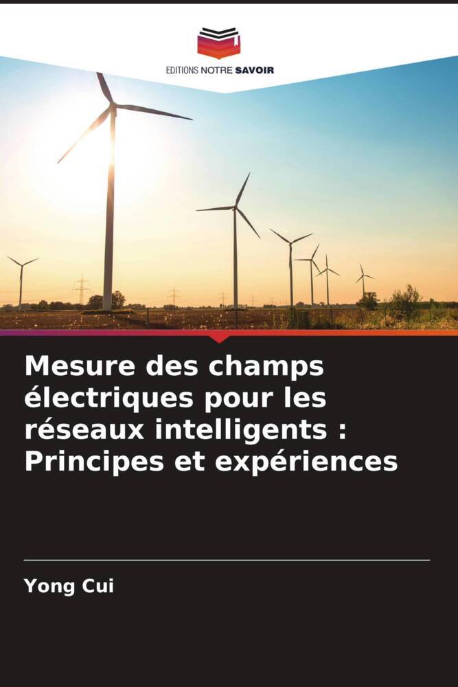 Mesure des champs électriques pour les réseaux intelligents : Principes et expériences