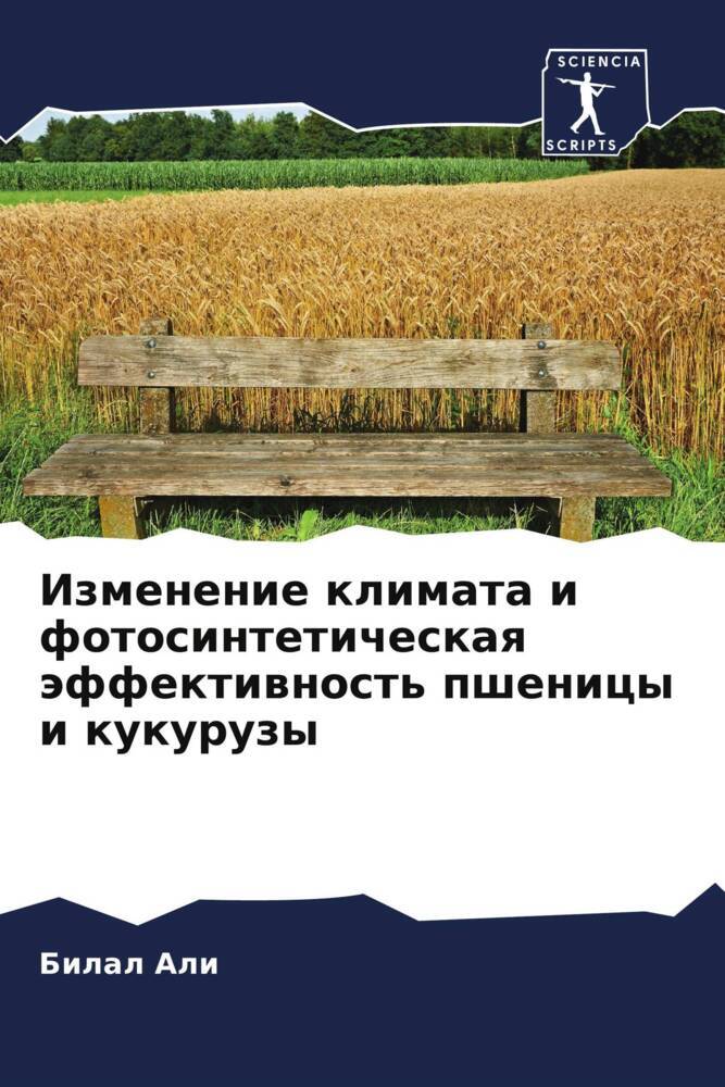 Izmenenie klimata i fotosinteticheskaq äffektiwnost' pshenicy i kukuruzy