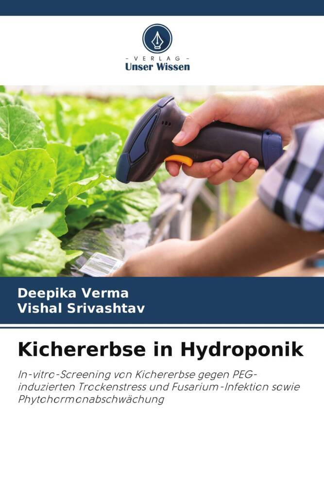 Kichererbse in Hydroponik
