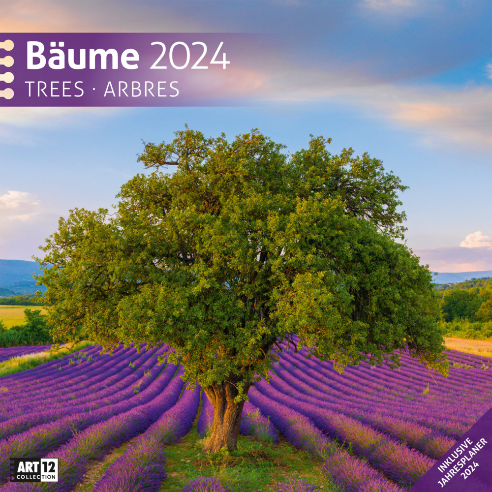 Bäume Kalender 2024 - 30x30