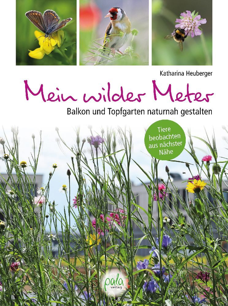 Mein wilder Meter