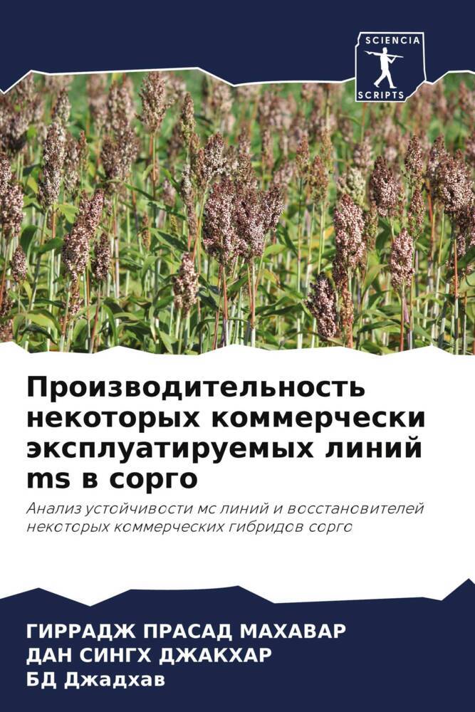 Proizwoditel'nost' nekotoryh kommercheski äxpluatiruemyh linij ms w sorgo