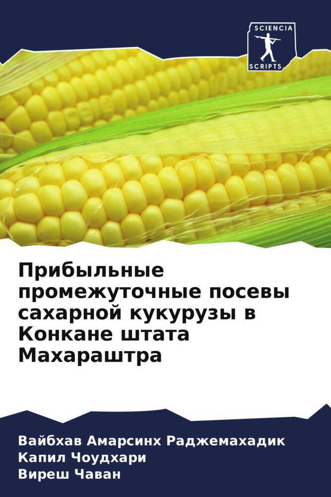 Pribyl'nye promezhutochnye posewy saharnoj kukuruzy w Konkane shtata Maharashtra