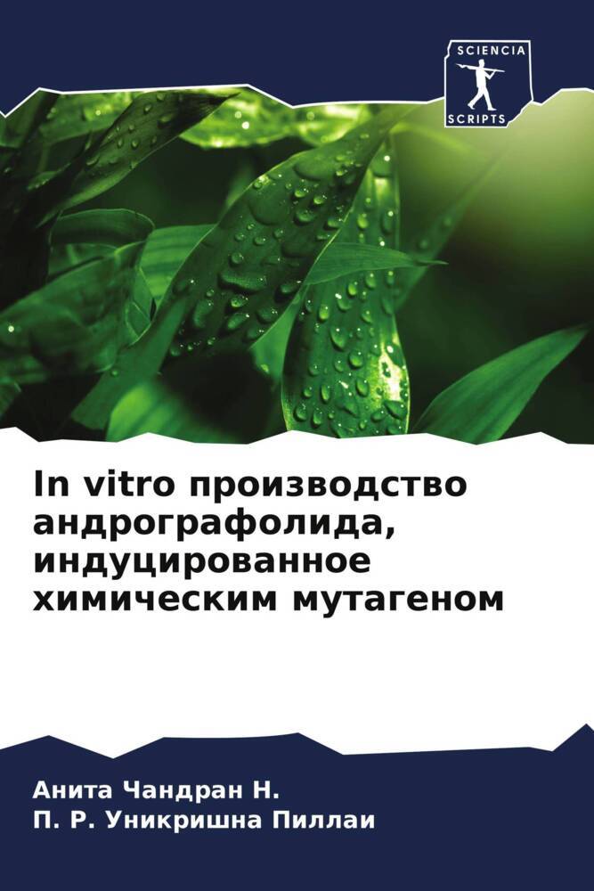 In vitro proizwodstwo andrografolida, inducirowannoe himicheskim mutagenom