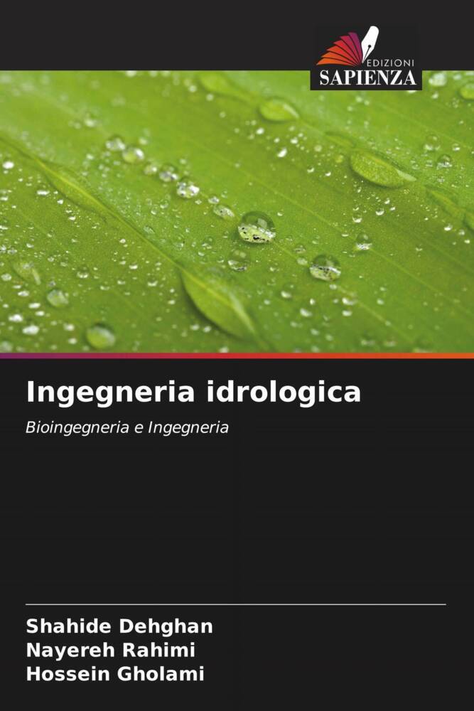 Ingegneria idrologica