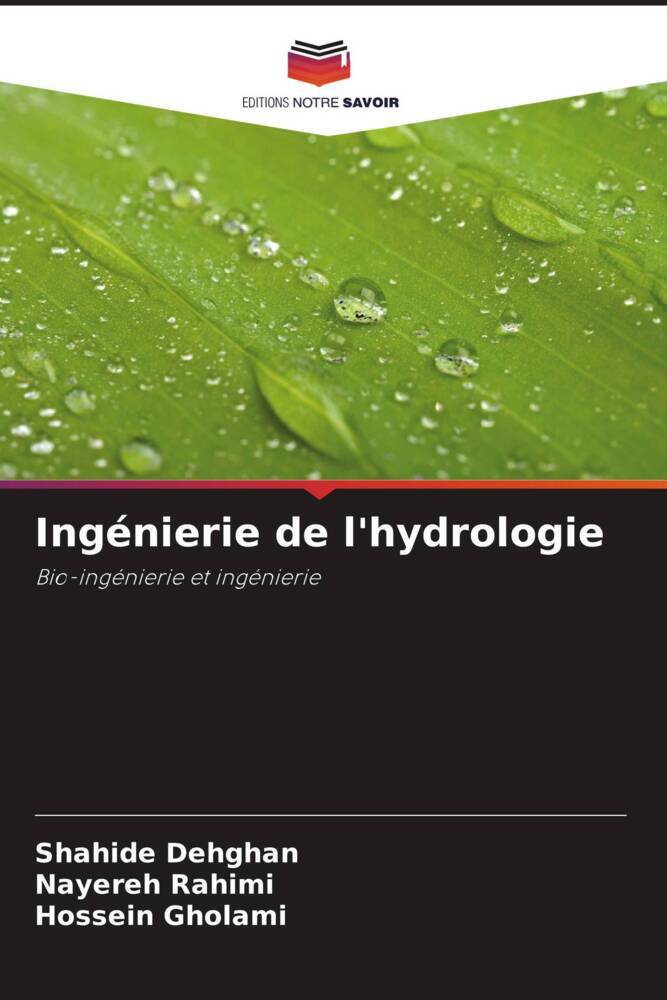 Ingénierie de l'hydrologie