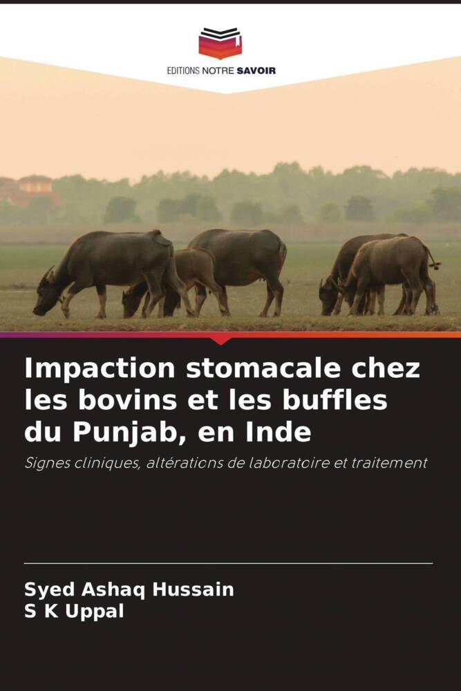 Impaction stomacale chez les bovins et les buffles du Punjab, en Inde