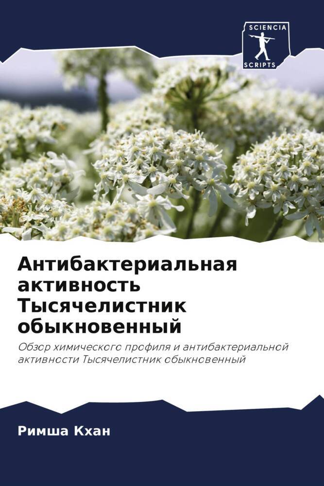 Antibakterial'naq aktiwnost' Tysqchelistnik obyknowennyj