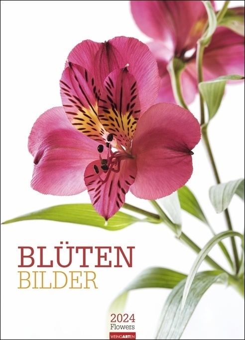 Blütenbilder Kalender 2024. Großer Jahres-Wandkalender mit stilvollen Fotos prachtvoller Blüten. Blumen-Kalender für die Wand. 49x68 cm. Hochformat