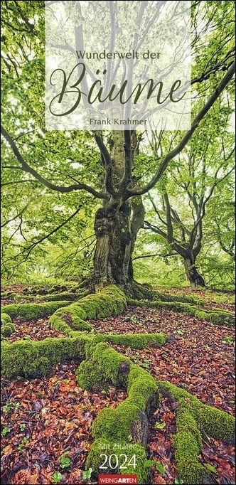 Wunderwelt der Bäume Kalender 2024. Baum-Fotos durch alle Jahreszeiten in einem länglichen Kalender im Format 33 x 68 cm. Jahres-Wandkalender 2024 mit Fotos von der Blüte bis zum kahlen Winter.