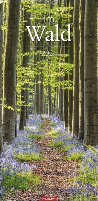 Im Wald Kalender 2024. Die heimischen Wälder in faszinierenden Fotos dargestellt in einem XL Kalender. Bäume und Co. in einem länglichen Kalender. 33x68 cm Hochformat