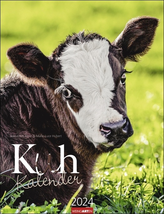 Kuh Kalender 2024. Foto-Wandkalender von den renommierten Tierfotografen Jean-Louis Klein und Marie-Luce Hubert. Süße Kälbchen und ländliche Idylle 2024 mit Planer. 30x39cm
