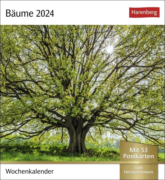 Bäume Postkartenkalender 2024. Fotokalender mit 53 Postkarten zum Sammeln und Verschicken. Dekorative Baum-Aufnahmen von bekannten Fotografen. Wochen-Tischkalender 2024