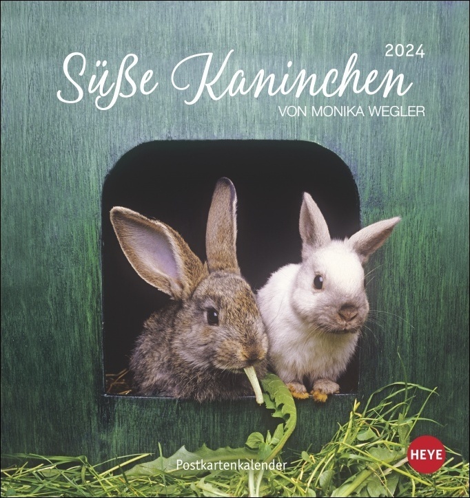Süße Kaninchen Postkartenkalender 2024. Tierfotografin Monika Wegler setzt in einem kleinen Kalender niedliche Häschen in Szene. Tischkalender im Postkartenformat.